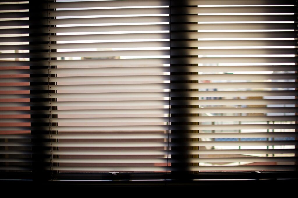 Privacy blinds