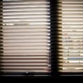 Privacy blinds